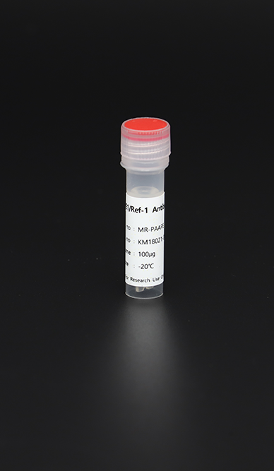 Antibody